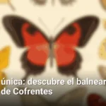 Escapada única: descubre el balneario volcánico de Cofrentes