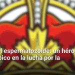 El viaje del espermatozoide: un héroe microscópico en la lucha por la fertilidad